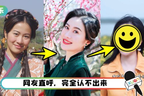 42岁叶璇变样了!网民认不出来吐槽:网红脸