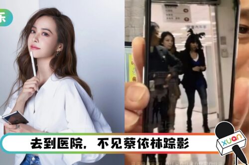 蔡依林被曝假慈善！探病童都是SET好的