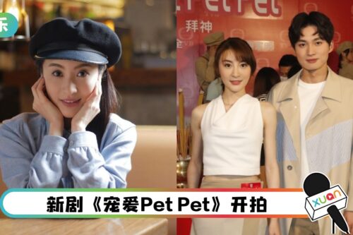 TVB再拍宠物剧！林夏薇搭档鲜肉演员谈姐弟恋