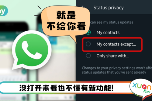 News I WhatsApp新隐私功能上线！可以设置谁能看个人头像和状态等！