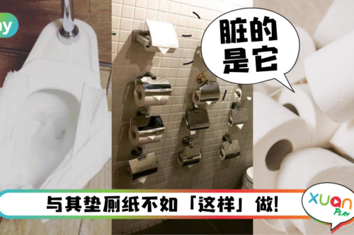 Tips｜马桶座垫铺卫生纸更安心？专家：没必要也不卫生！