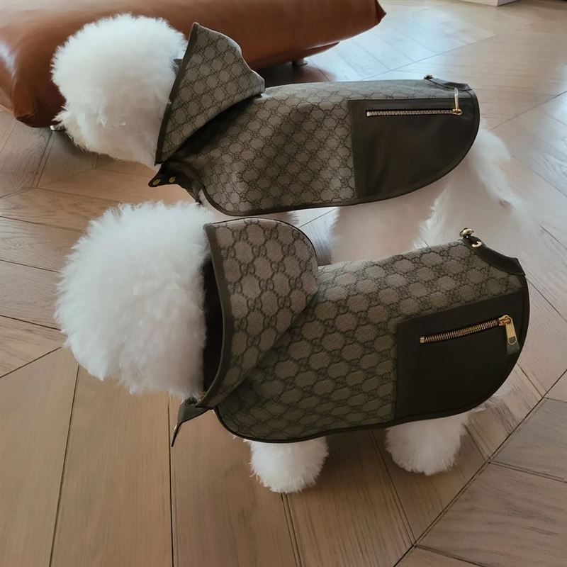 蔡依林“天后尊宠”爱犬新衣贵桑桑　网叹：穿得比人还高档 时尚资讯 图3张