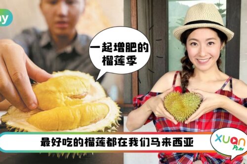 美食 I 榴莲不是只有猫山王才好吃！盘点马来西亚10大品种榴莲
