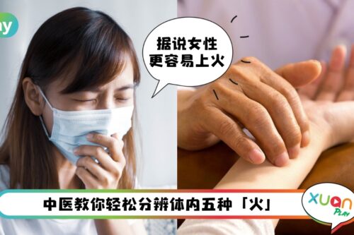 健康 I 每次都讲上火到底哪里上火？中医分析5脏上火特点