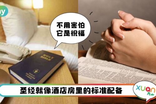 旅行 I 酒店摆放圣经超过100年历史！真正的用途原来是…