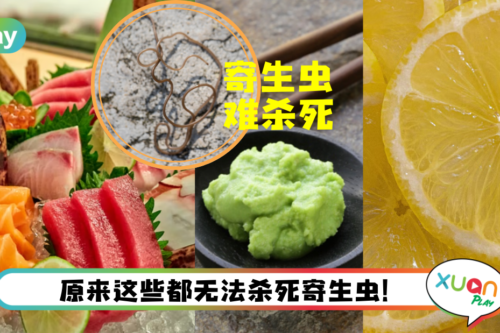 Tips｜用芥末、柠檬就能杀死鱼生内的寄生虫？看来大家误会了！