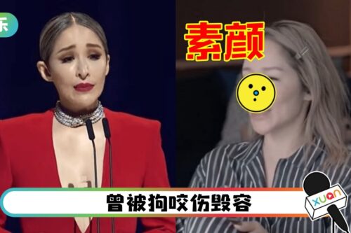 现身金曲奖…萧亚轩鼻子抢镜！看素颜更明显