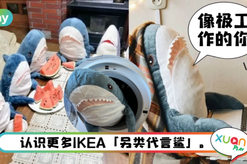 科普｜超人气IKEA鲨鱼本名你懂不懂？4个关于鲨鲨的冷知识！