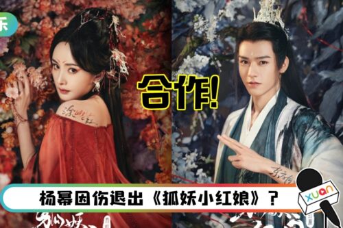 杨幂、龚俊粉丝掀骂战！女方受伤遭嫌：拖慢拍剧进度
