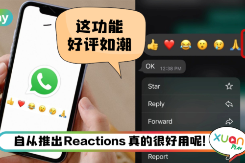 News I WhatsApp更新Reactions功能！更多趣味性的表情符号可选择！