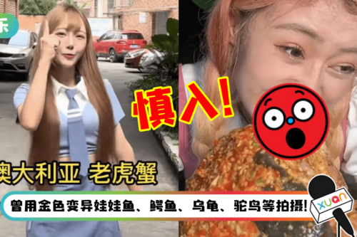 网红被曝食用幼年大白鲨被举报！急辩护：是人工养殖