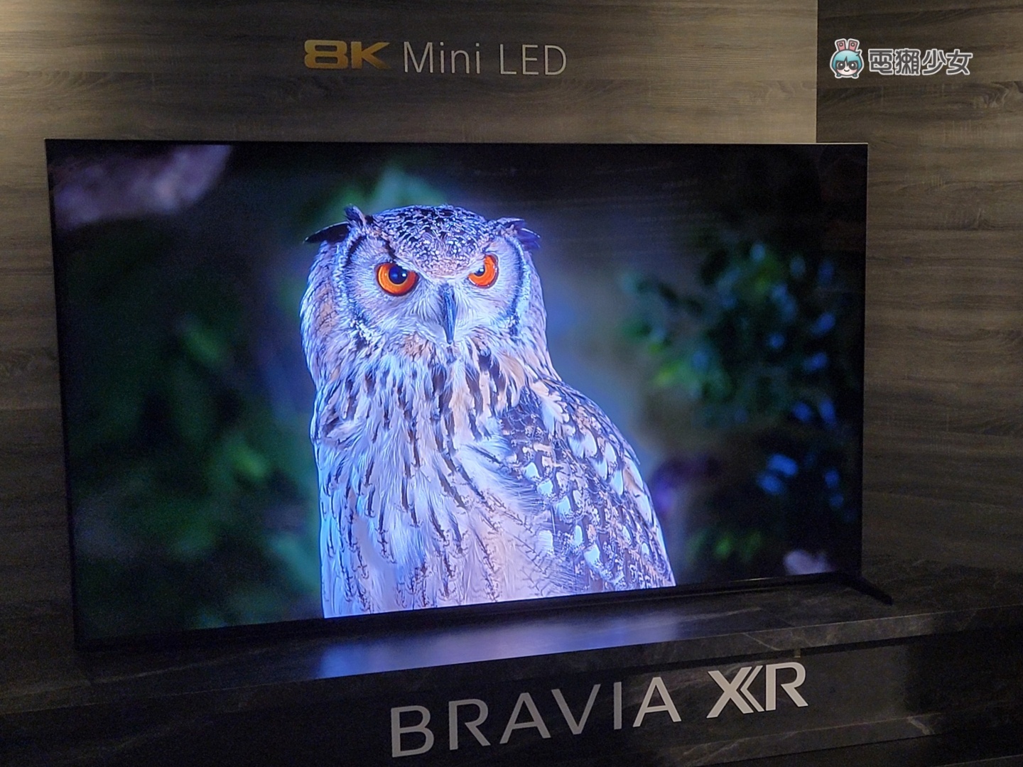 出门｜Sony BRAAIA XR 电视全系列皆为 PS5 推荐机种，体验 OLED、Mini LED 的旗舰级显色