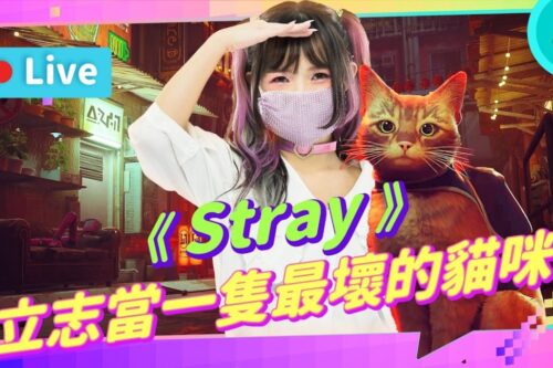 EP191：《Stray》如何扮演一只优秀的猫猫？做任何你想做的G8事【周末玩什么】