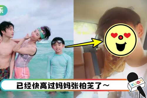 12岁Quintus暴风抽高！　长相激似谢霆锋…完全就是copy paste