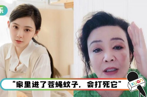 张兰呛汪小菲新欢“臭虫二手货”！点赞张颖颖卖弄身材留言