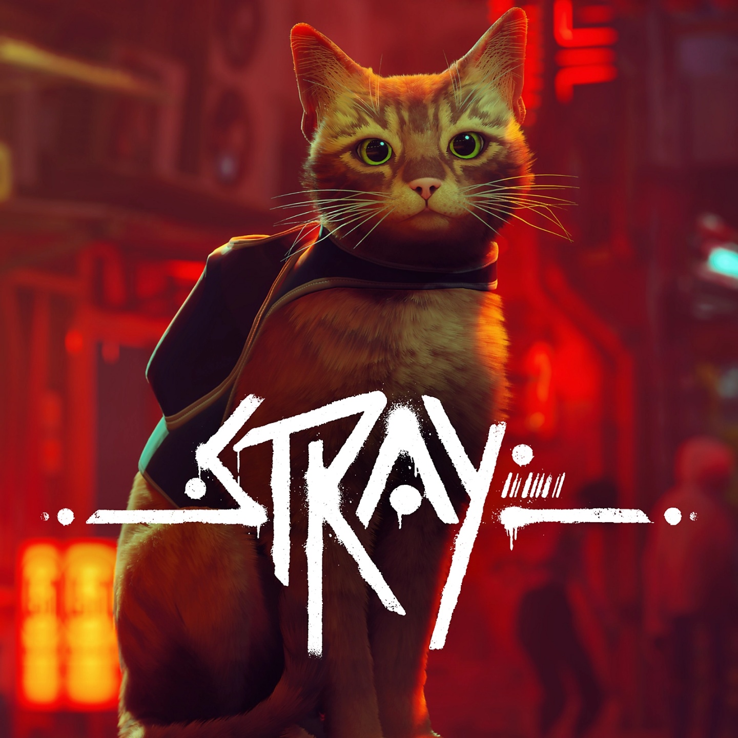 Metacritic 84 分好评!《Stray》浪猫模拟游戏爆红原因整理 内容图3 潮品文-大潮社旗下实时最新热点娱乐时尚数码等新闻资讯网站! Metacritic 84 分好评!《Stray》浪猫模拟游戏爆红原因整理