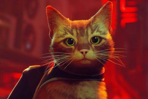 Metacritic 84 分好评！《Stray》浪猫模拟游戏爆红原因整理