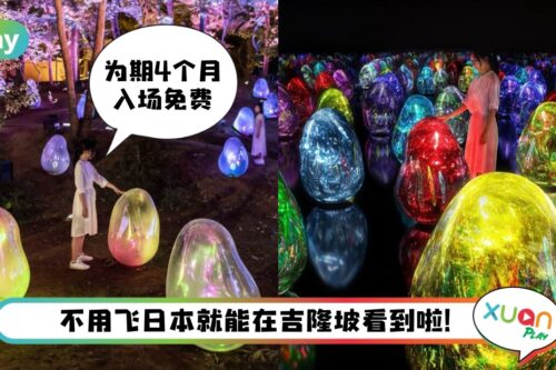 旅游 I 全球必看的展览之一，日本teamLab光影艺术8月登陆马来西亚！