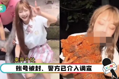 网红吃鲨鱼、鸵鸟、孔雀！百万粉丝账号被封 恐入狱10年