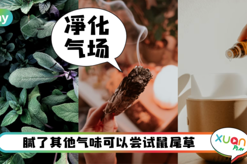 生活｜鼠尾草原来那么好用？减缓忧郁、经痛还能抑菌？