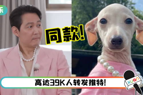 超傻眼！李政宰粉色衣服＋大珍珠项链look…竟跟狗狗一模一样！