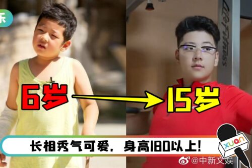 《爸爸》石头长大了！ 身材魁梧又壮硕…网惊呆：小石头变巨石了