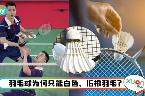 Tips｜世界上最快球类运动！这6个有趣羽毛球冷知识你知道几个？