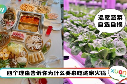 美食 I Awana Garden Hot Pot自摘蔬菜火锅!食材新鲜到不要不要!