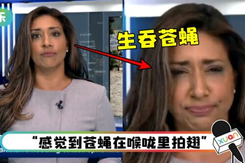 报新闻途中…苍蝇飞进嘴！主播淡定“生吞”
