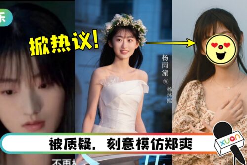 撞脸郑爽爆红！杨雨潼年仅23岁…曾合作张艺兴