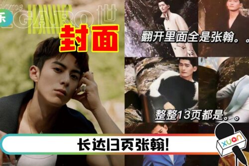 买王鹤棣杂志…打开却全是张翰！网友：惊喜变惊吓