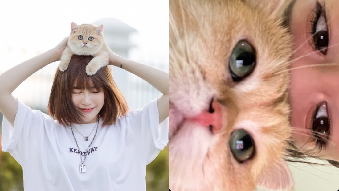 Diorlynn 、达达爱猫离世！“没办法陪它最后一程” 娱乐资讯 图2张