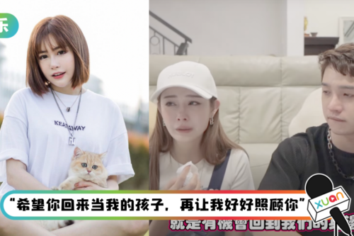 Diorlynn 、达达爱猫离世！“没办法陪它最后一程”