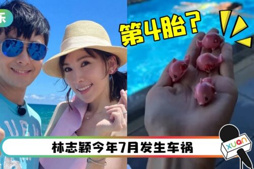 林志颖爱妻突晒4玩偶！被怀疑再有喜