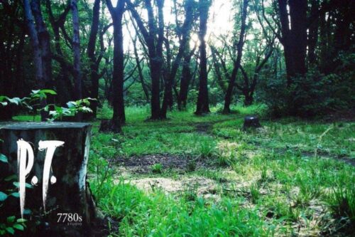 在 PS5 安装 PlayStation 已下架游戏！玩家越狱下载恐怖游戏名作《P.T.》， 重温小岛秀夫的神秘惊悚？