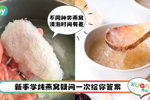 Tips I 多少水炖燕窝才对？什么时间吃燕窝最好？7大吃燕窝的专业认识