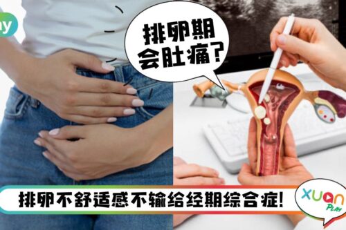 Tips I 原来这都是排卵前征兆，突然脾气差、发低烧都有关系