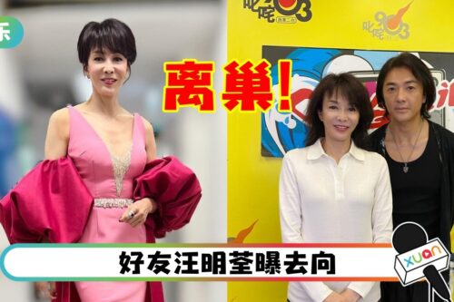 “Do姐”郑裕玲不续约TVB!李佳芯绯闻男友砸钱支持