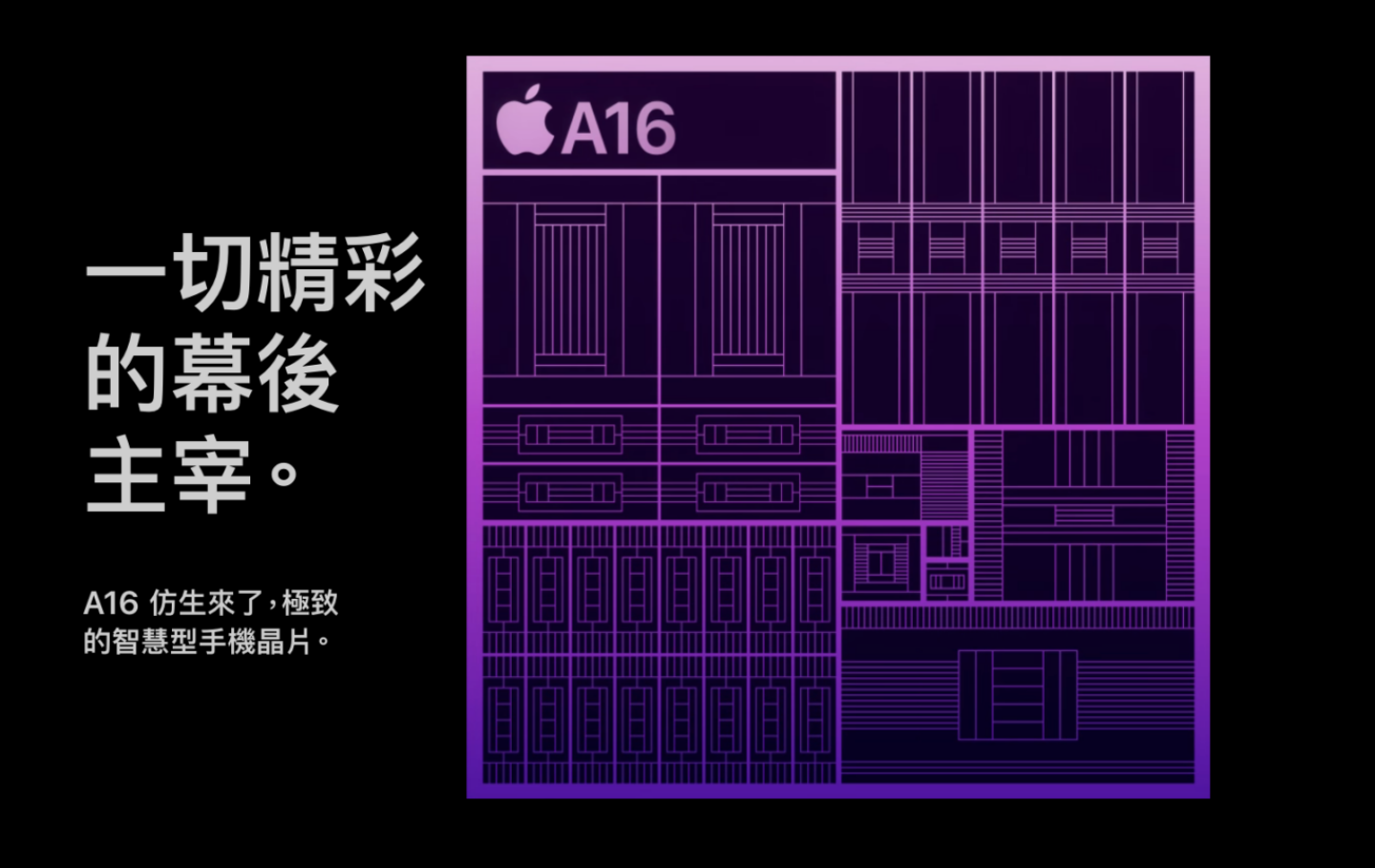 手拿 iPhone 的你知道‘ 仿生 ’晶片是什么意思吗?命名原因其实超单纯 内容图5 潮品文-大潮社旗下实时最新热点娱乐时尚数码等新闻资讯网站! 手拿 iPhone 的你知道‘ 仿生 ’晶片是什么意思吗?命名原因其实超单纯