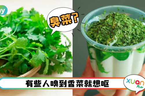 科普 | 香菜有人爱吃有人超讨厌！其中一部分原因是遗传！