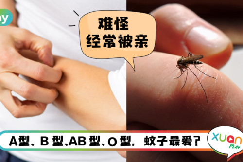 哈啰，交换生 I 为何蚊子总是叮上我？原来蚊子最爱这个血型！