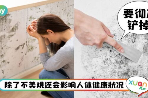Tips I 油漆也盖不住！墙壁大面积发霉该怎么办？