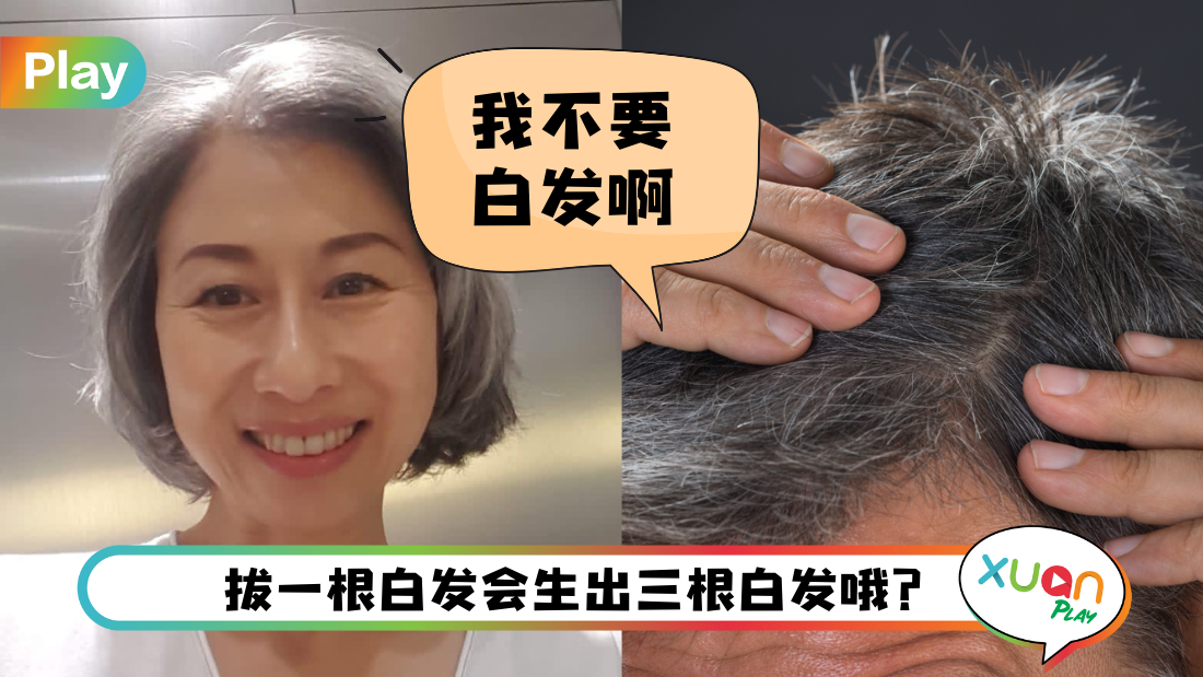 健康 I 白头发越来越多怎么办？这6个种类养发食物是你的救星！