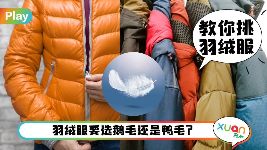 Tips I 会不会挑羽绒外套？真保暖的羽绒衣要看这3指标来挑选