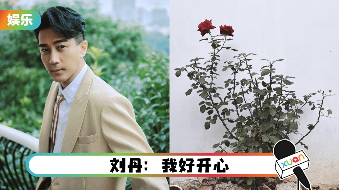 大方放闪!女友晒日常照 藏刘恺威身影