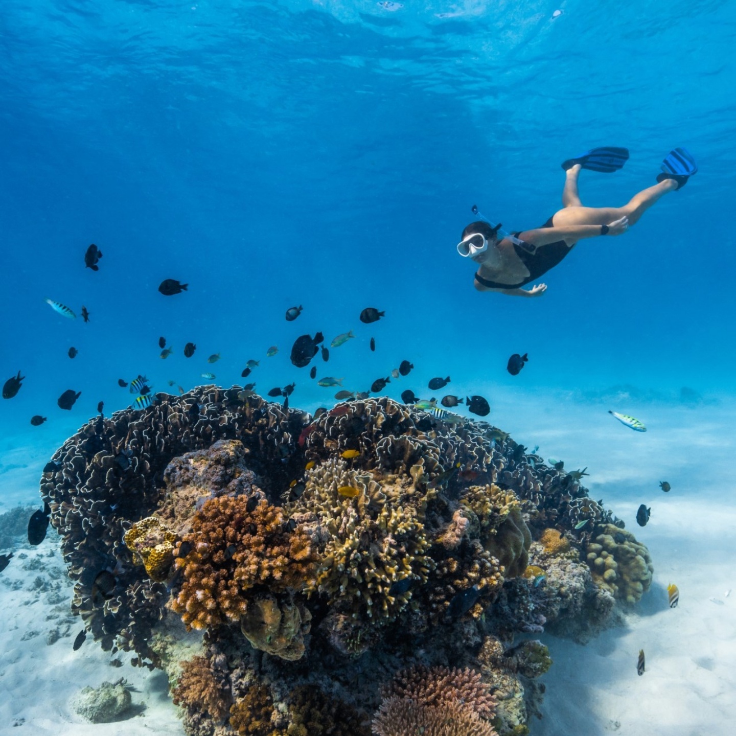 芬兰牌智慧手表 Suunto 9 Peak Pro 登台！外型优雅但有军规认证的坚强 休闲潜水也支援