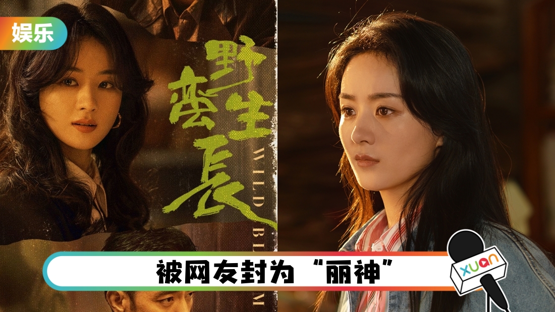 赵丽颖武力值爆棚！对老公挥拳怒斥、扇兄弟10巴掌！