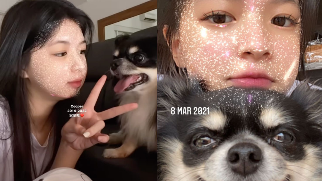 Elyn Leong 爱犬离世