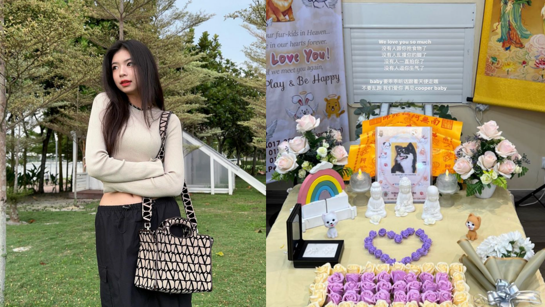 Elyn Leong 爱犬离世