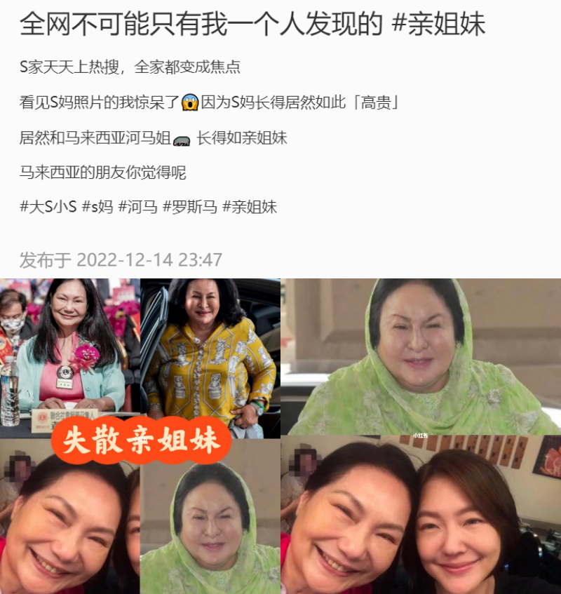 S妈、Rosmah撞脸